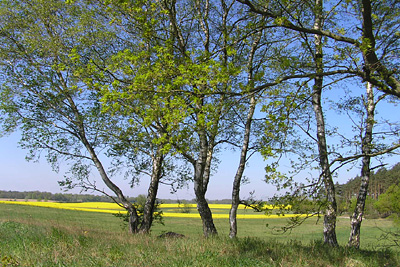 Frauenferien FEB Sommerfrische Mecklenburg-Vorpommern